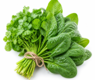 Fresh green leafy greens
