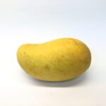 Alphonso Mango