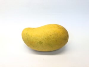 Alphonso Mango