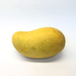 Alphonso Mango