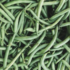 Okra (Ladies Finger)